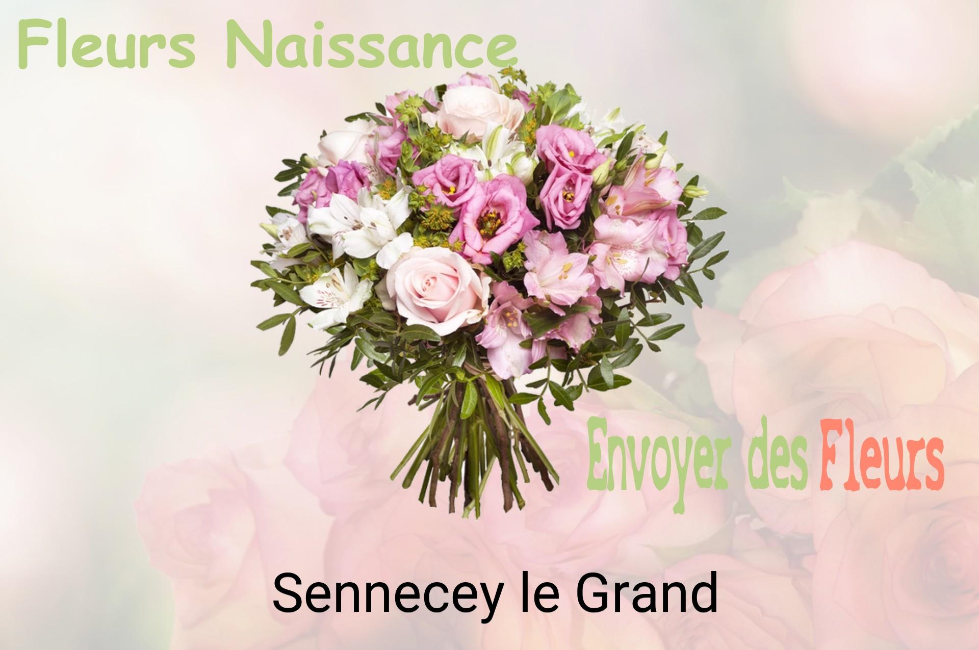 Bouquet de fleurs de naissance livré à Sennecey-le-Grand